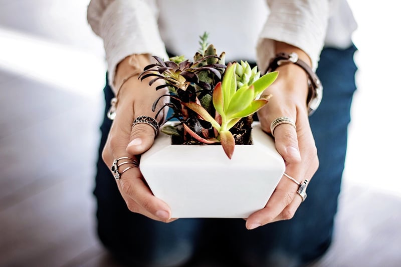 DIY Plant Pots